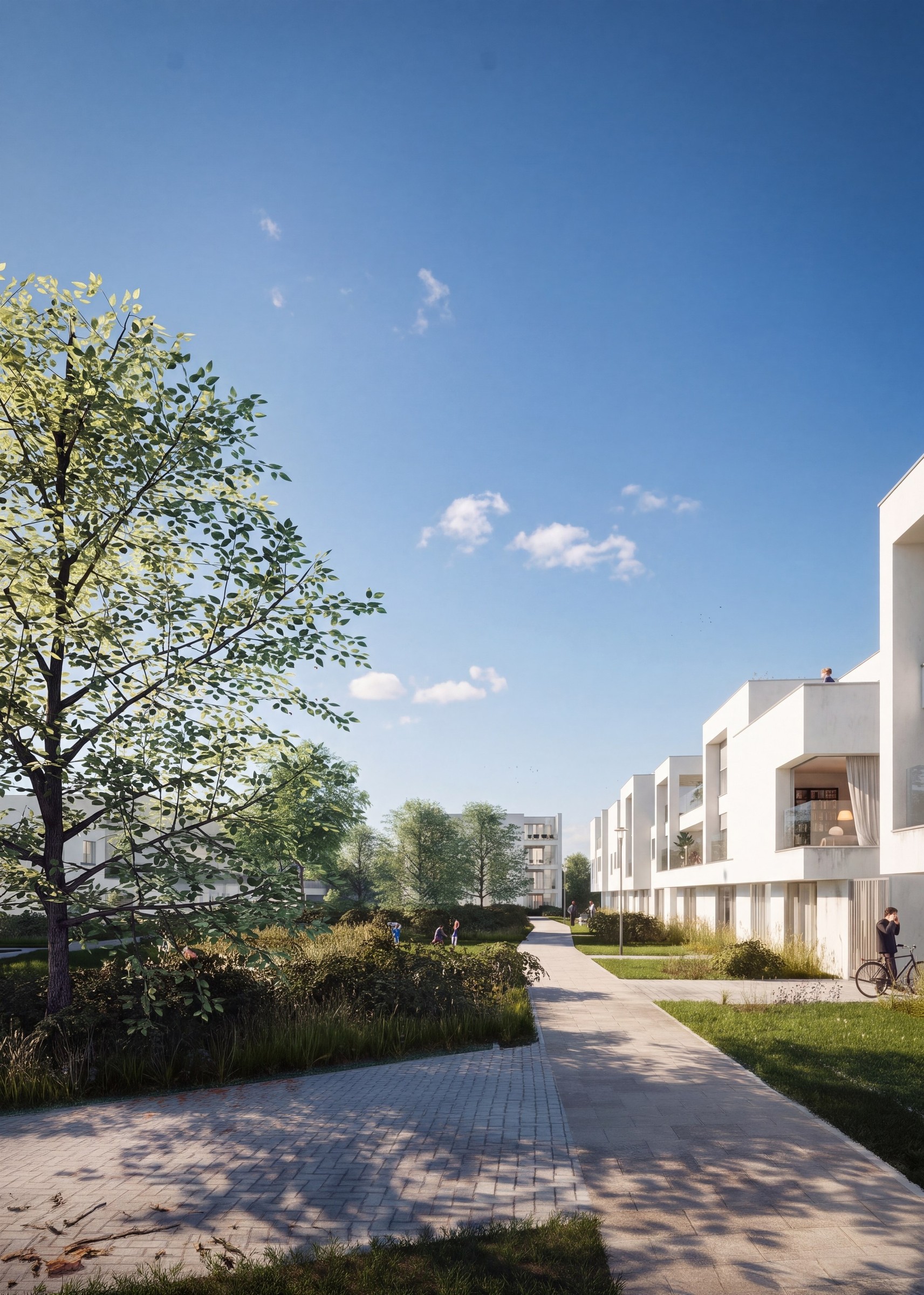 lommel-admiraliteit – beeld 2