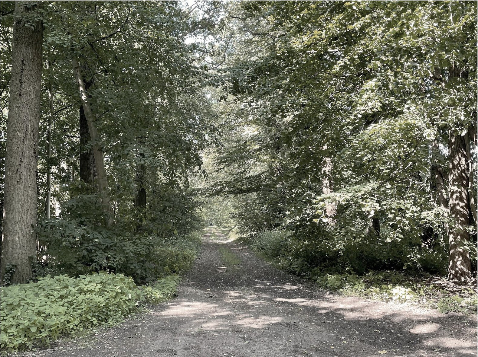 zandhoven-dbv – beeld 5